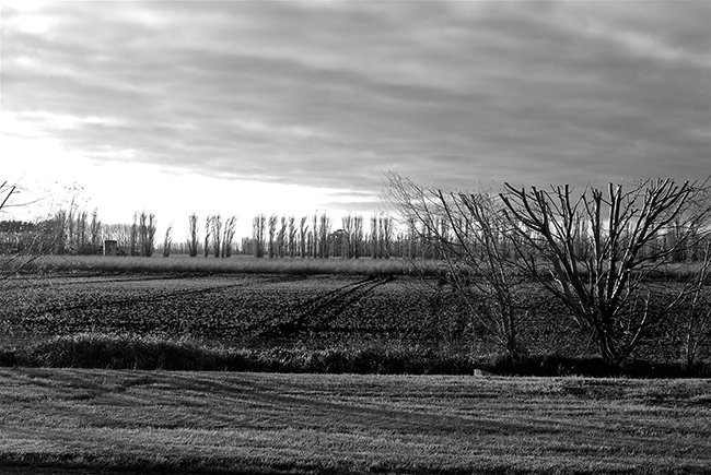 Dalmore_Road_650px _wide